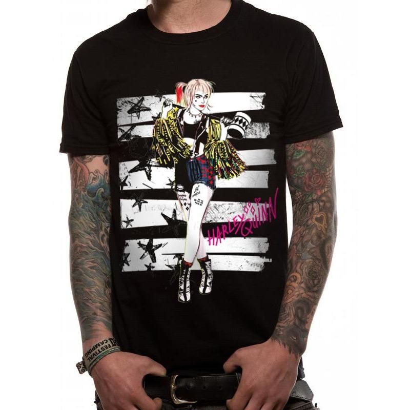 Birds Of Prey Stripes And Stars Unisex T-Shirt