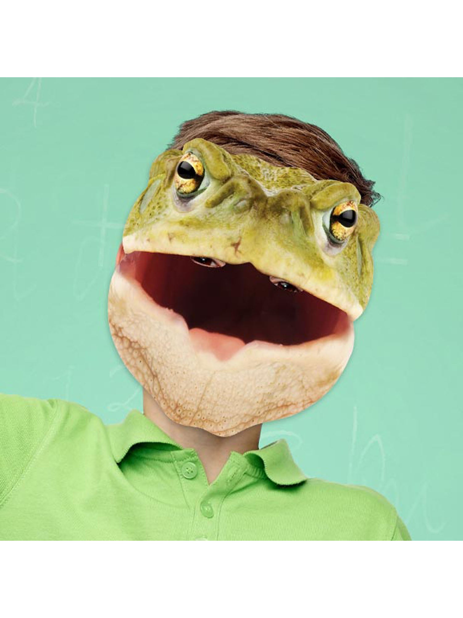 Toad Animal Mask