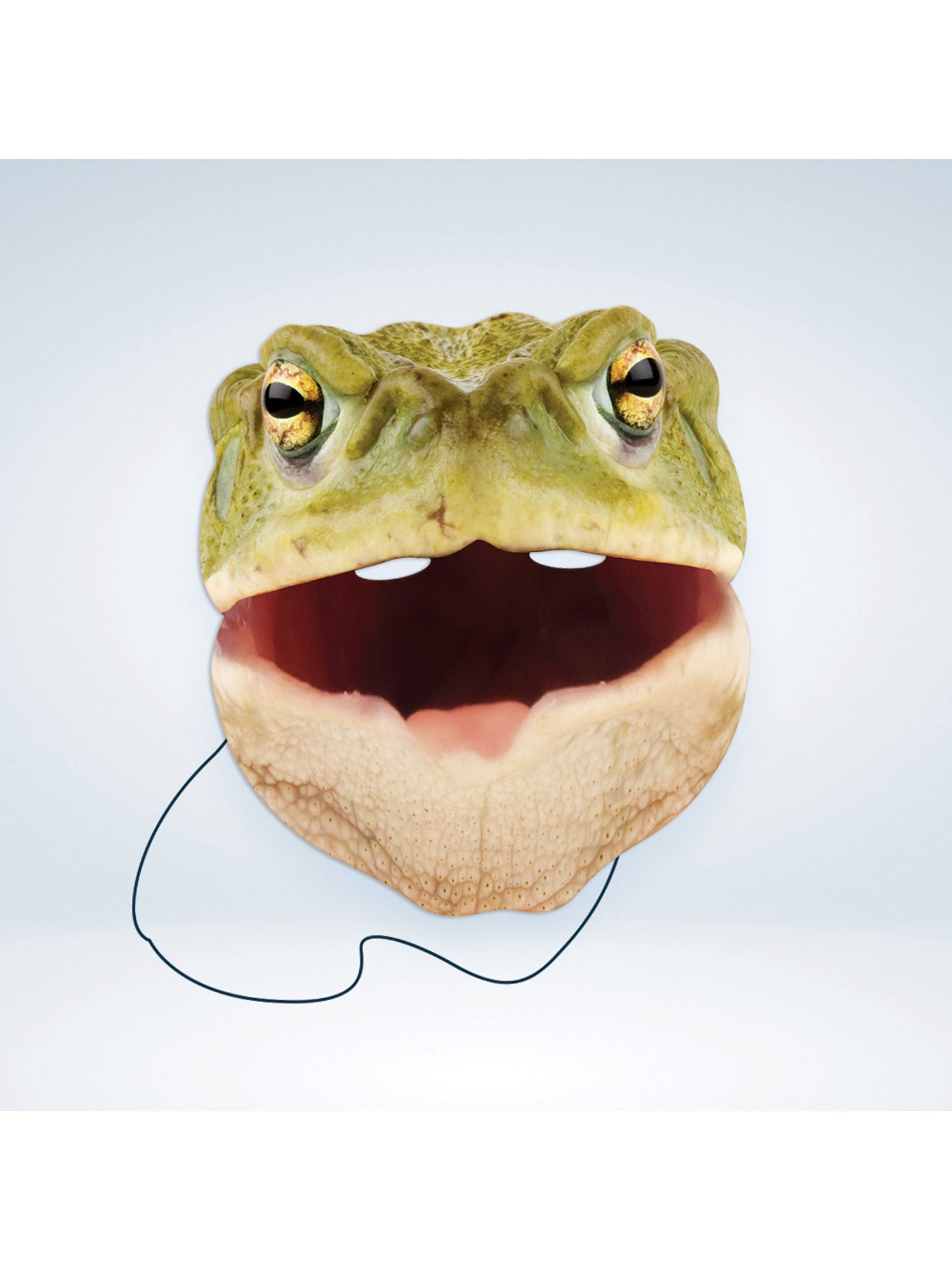 Toad Animal Mask