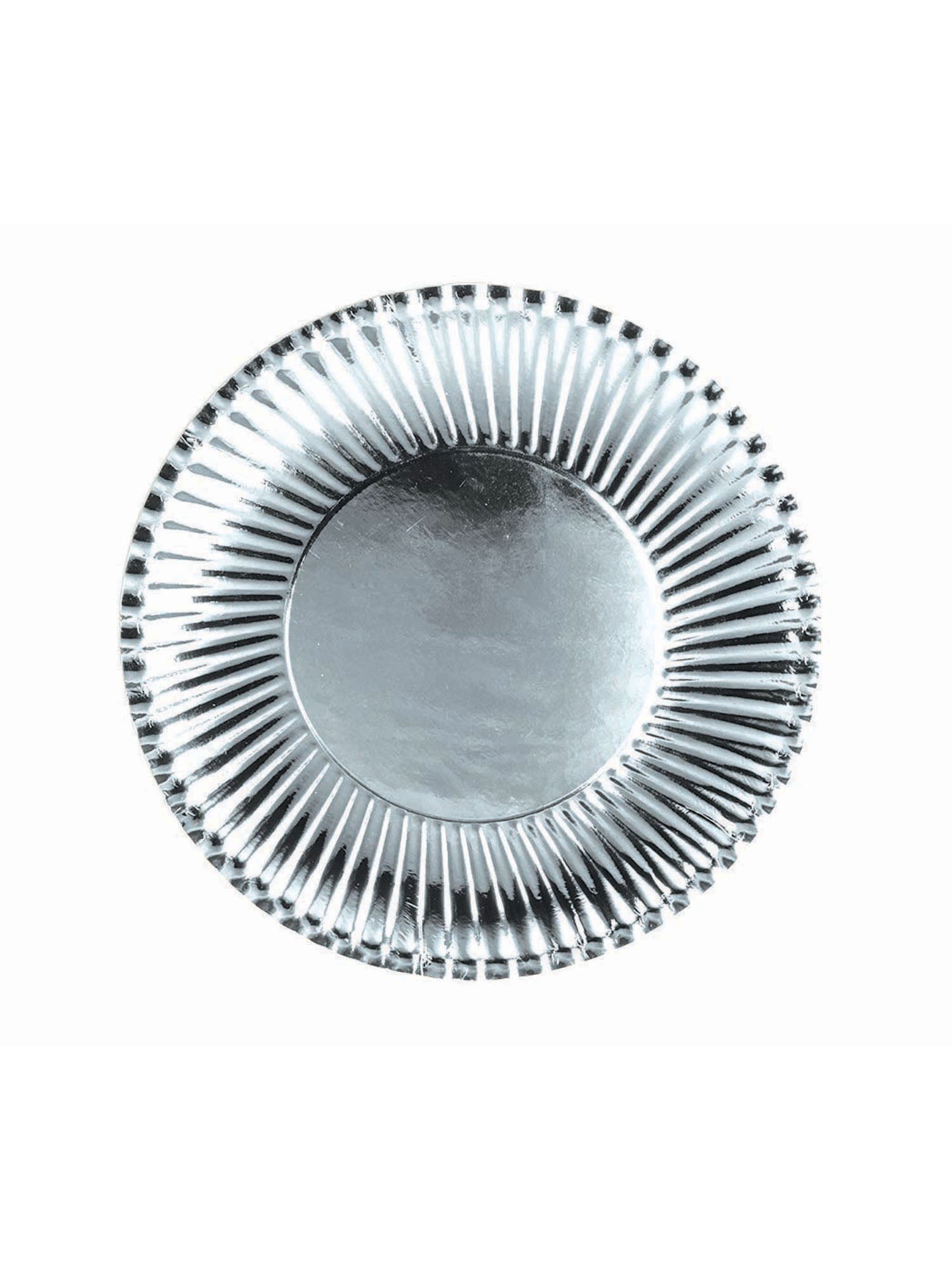 Paper Plates 10 Pack
