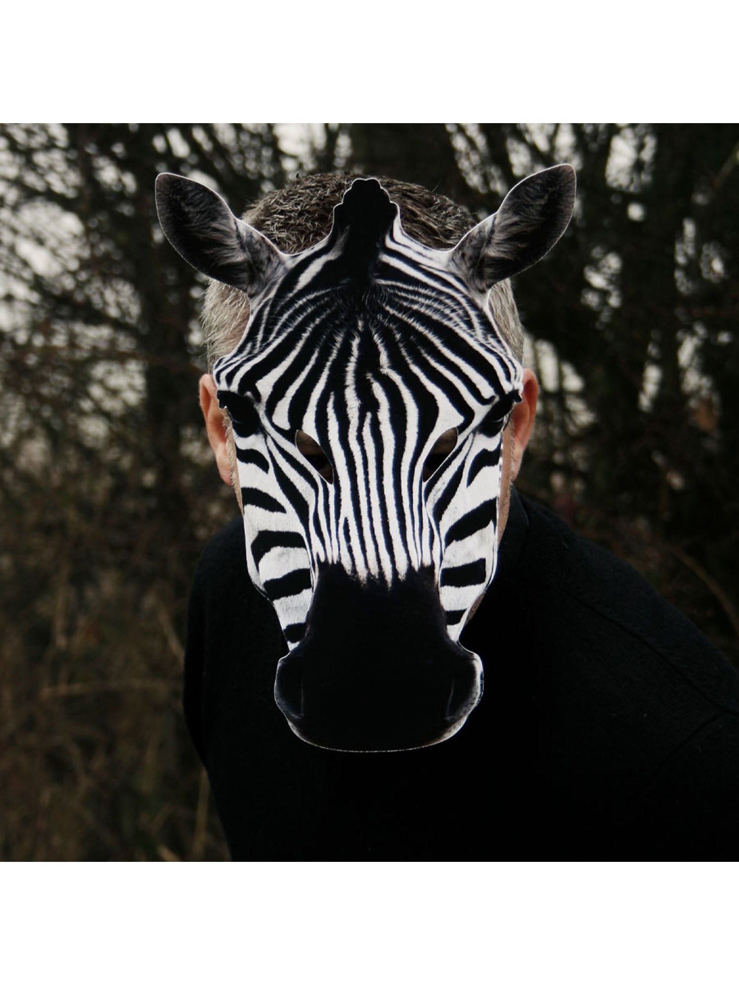 ZEBRA ANIMAL MASK
