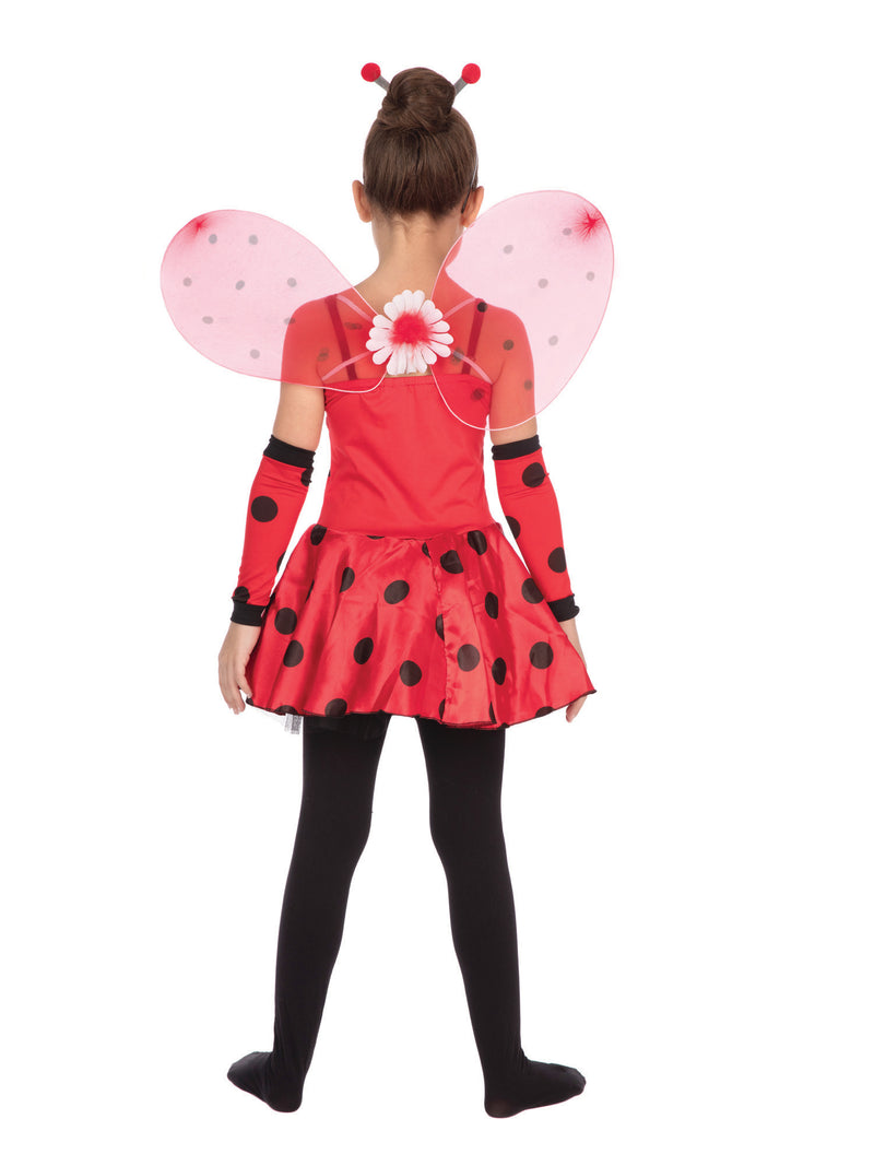 Ladybug