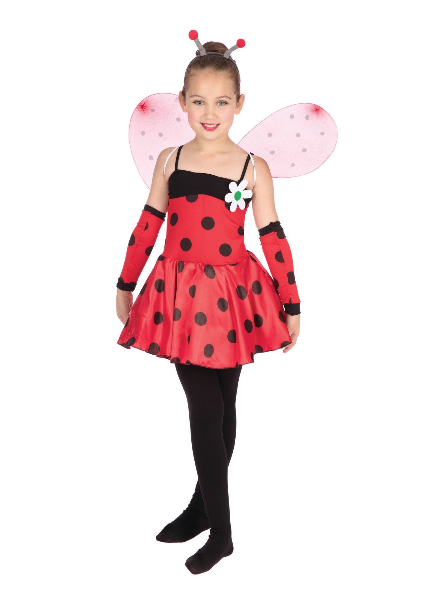 Ladybug