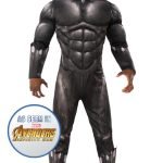 Ultimate Black Panther Superhero Costume Experience